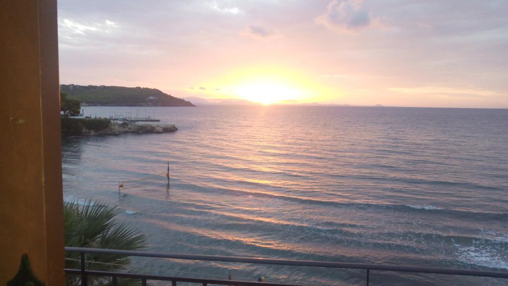 Oasis Hotel Theodoros & Litsa Galaris Agia Marina  エクステリア 写真